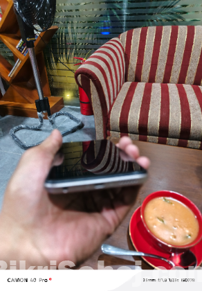 Vivo y19